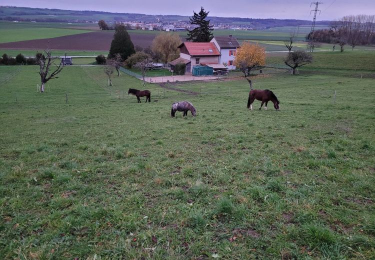 Des photos de la maison de Jessica  F.