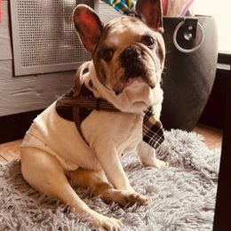 Fotos von Lou Haus