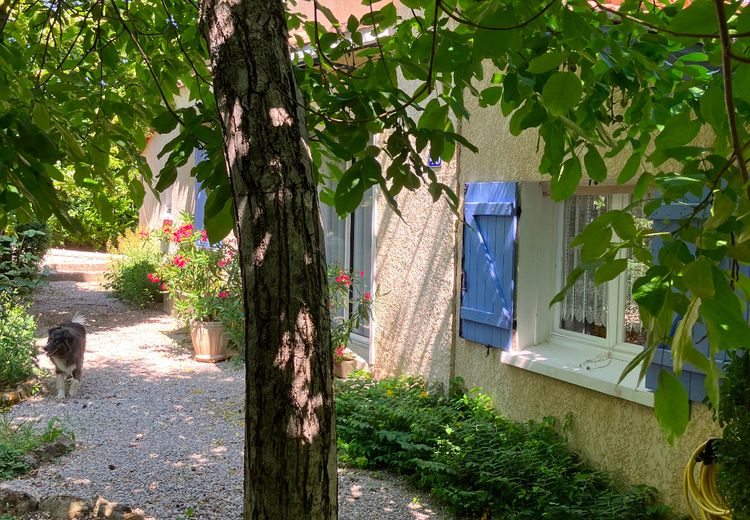 Pictures of JCV's house