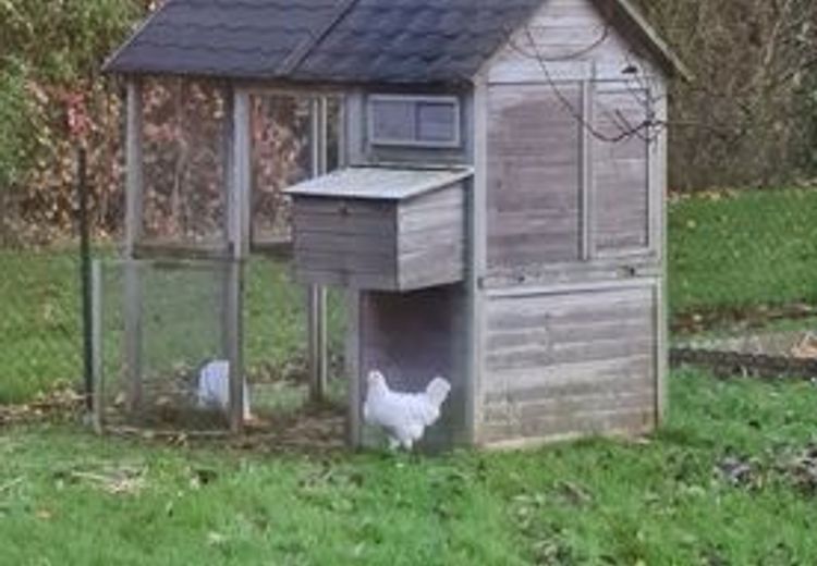 Pictures of Sabrina's house