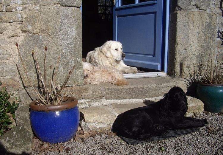 Des photos de la maison de dd