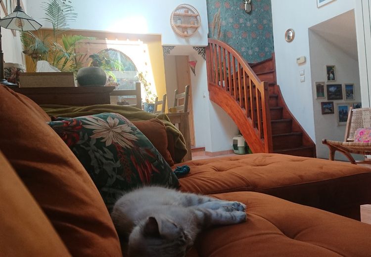 Pictures of Camille S.'s house