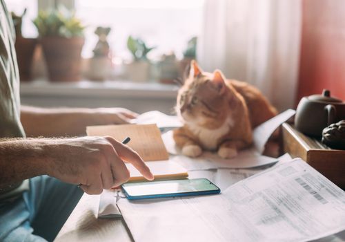 passeport européen pour chat, carnet de santé