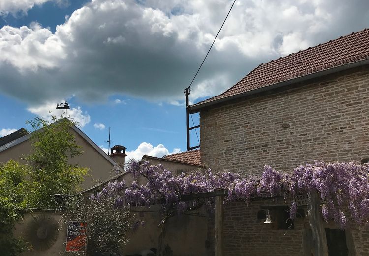 Pictures of MURIEL H.'s house