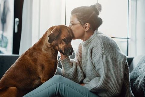 dog-woman-hug.jpeg