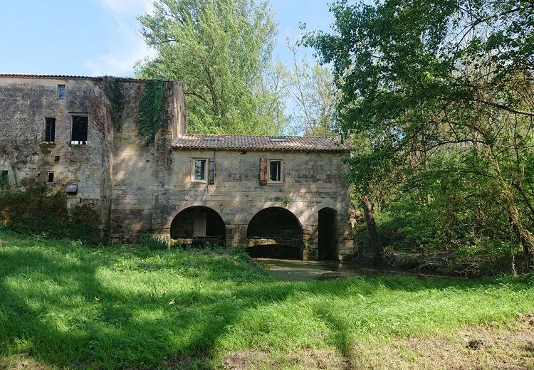 Pictures of Marie V.'s house