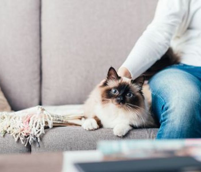 AdobeStock_105951027.jpeg