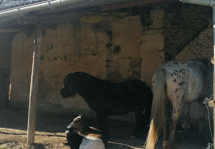 Pictures of Cristel F.'s house