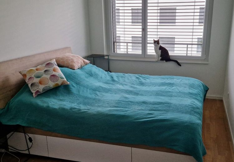 Pictures of Stephanies's house