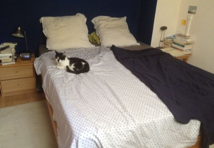 Pictures of Nathalie L.'s house
