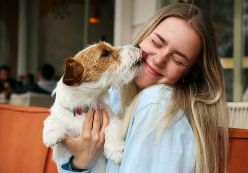 Happy dog reuniting with its owner after a period of care