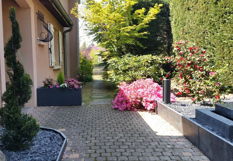 Pictures of Noelle C.'s house