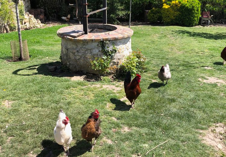 Des photos de la maison de Nathalie et Guy