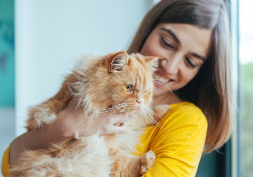 Smiling cat sitter holding content cat