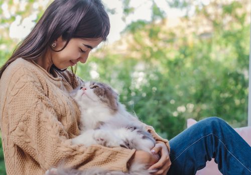 ehrenamtlicher House Sitter Katzenbetreuungsservice Nomador