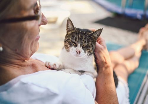 Le home-sitting : une expérience chaleureuse et humaine.